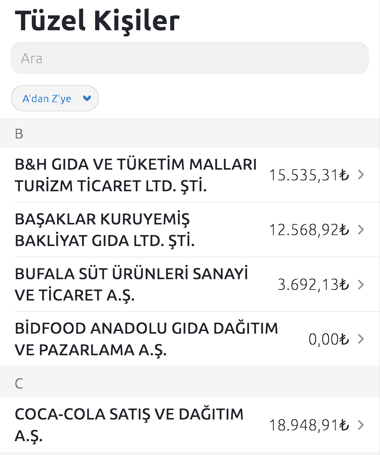 tüzel kişi hesapları